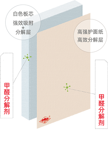 OG��Ѷ��(�й���)�ٷ���վ