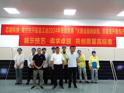 展示技艺，钻营卓越——瓦力游戏科技进行光伏组件质量检验技术较量